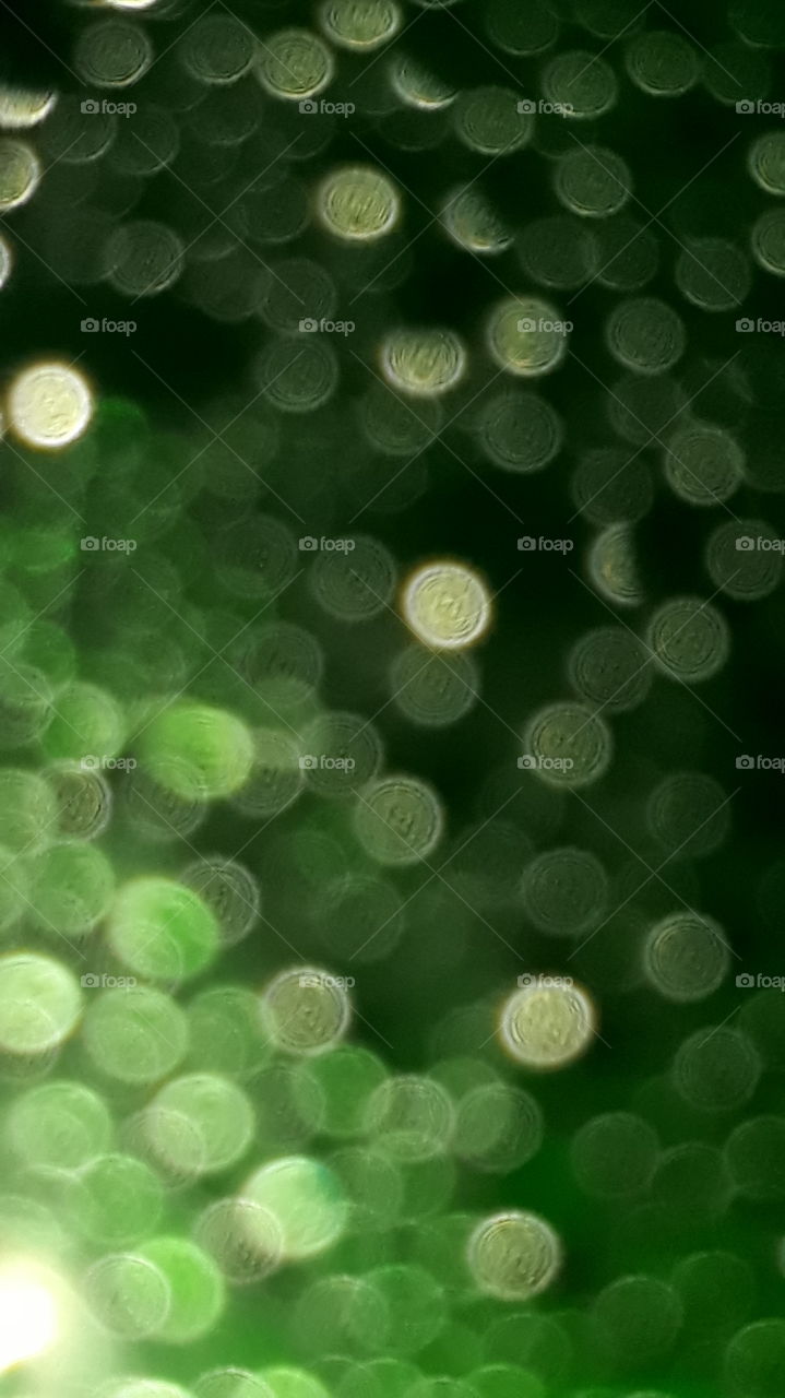 fill light into my dreams