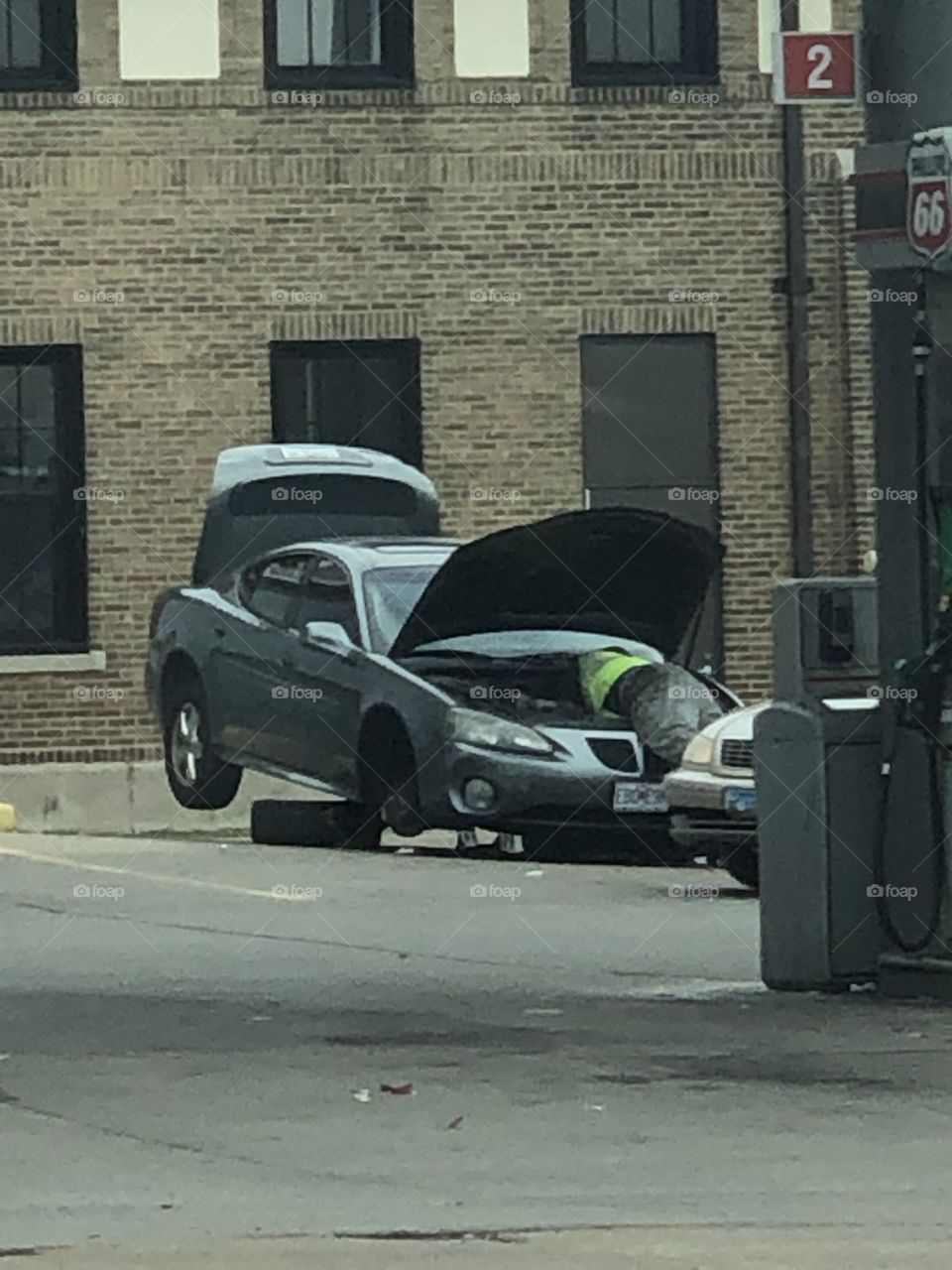 This guy weighs a ton....or two!