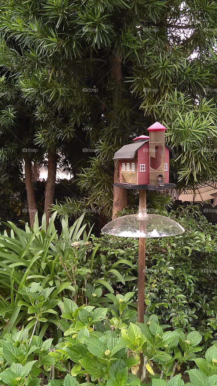 Barn house for birds. I was doing work in the backyard