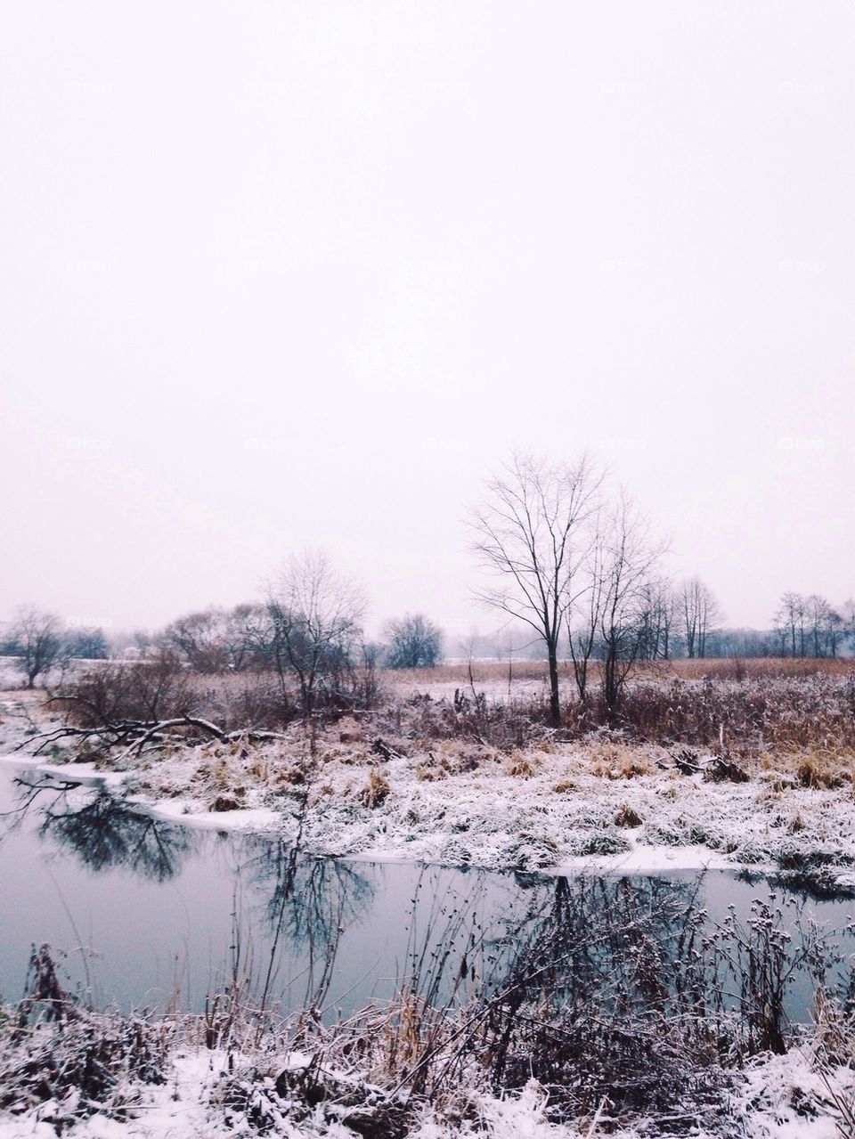 Frosted view