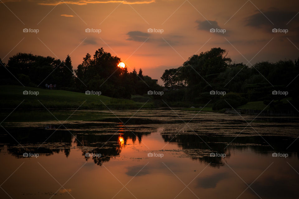 Reflection of trees on river at sunset