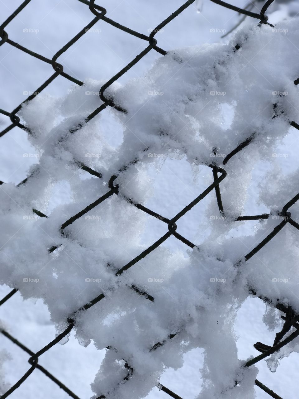 No Person, Fence, Barbed Wire, Winter, Frost