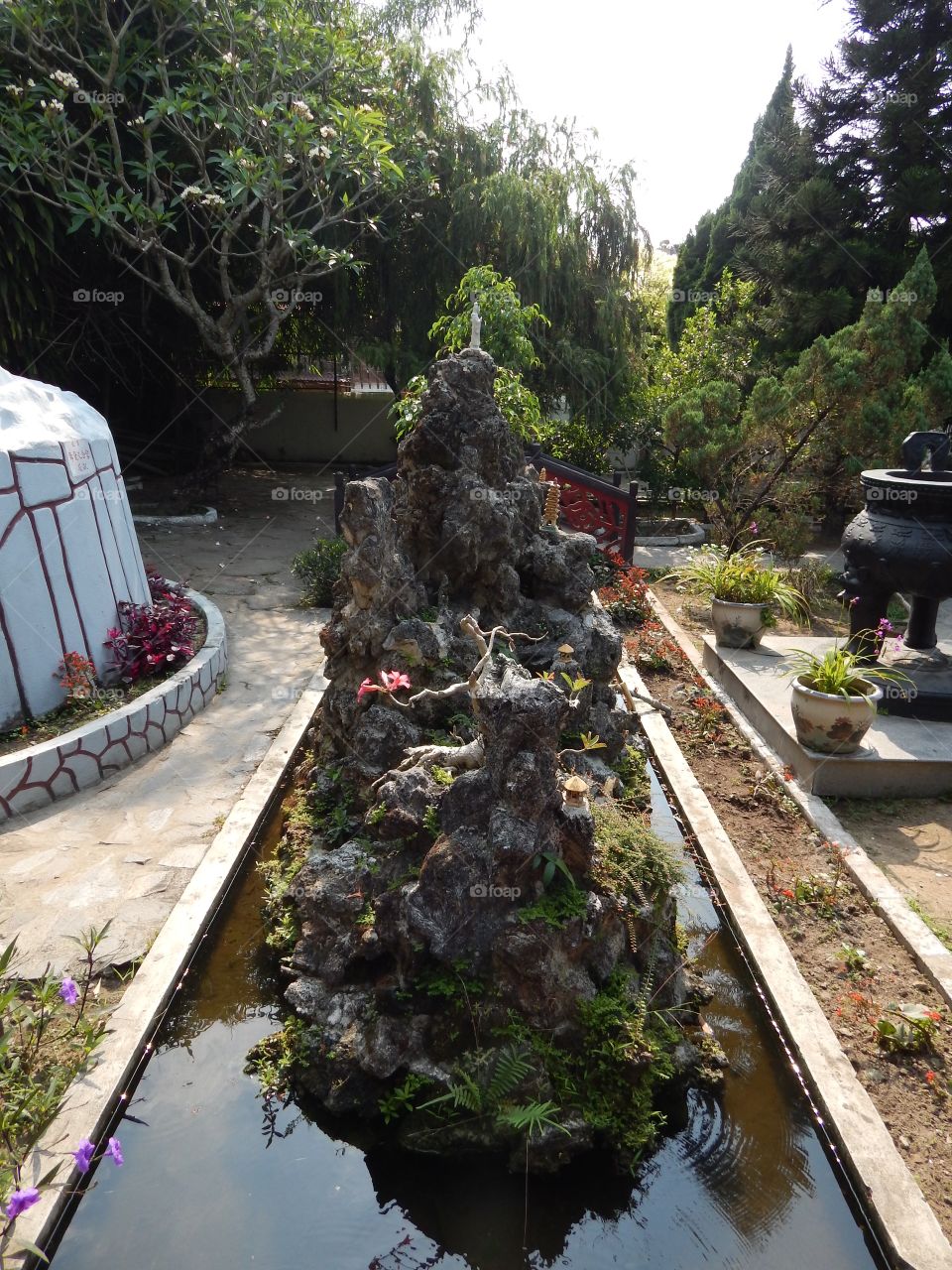 A garden in Vietnam 