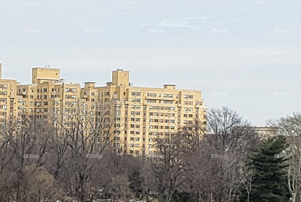 Big Old City Building With Trees