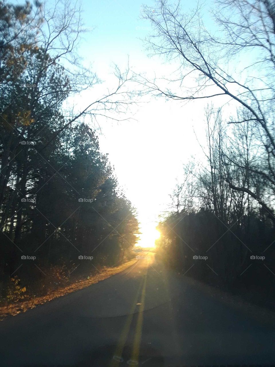 sunlit road
