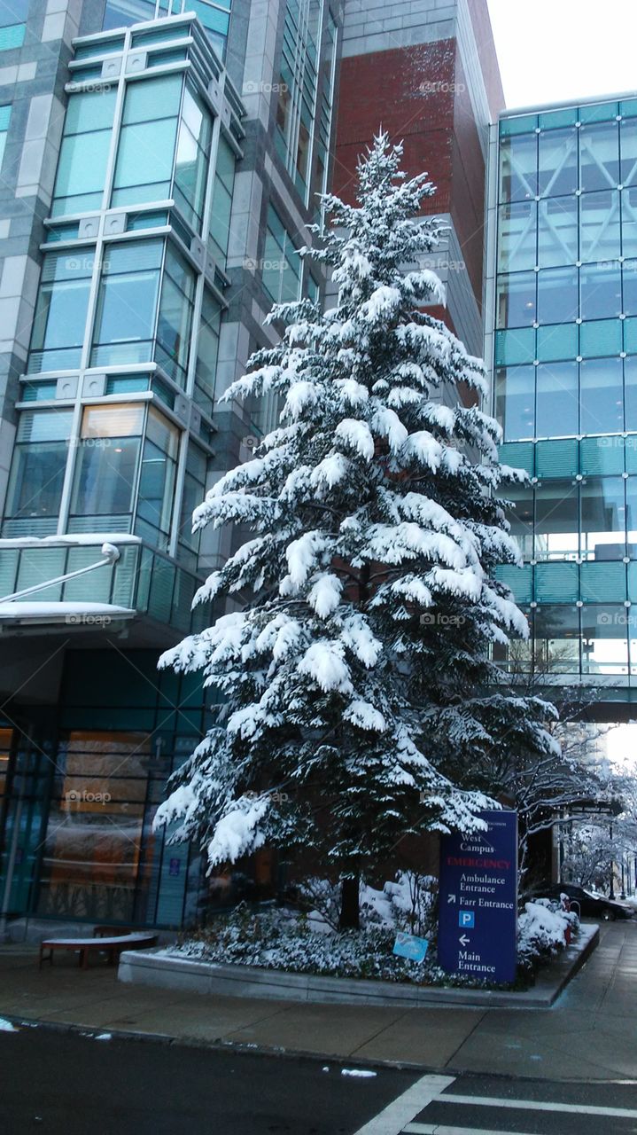 No Person, Winter, Architecture, Building, City