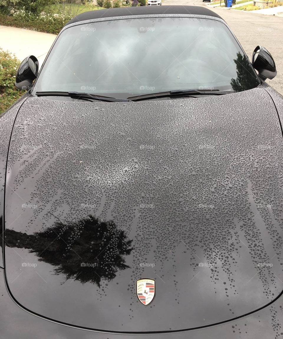 Black Porsche with raindrops and palm tree