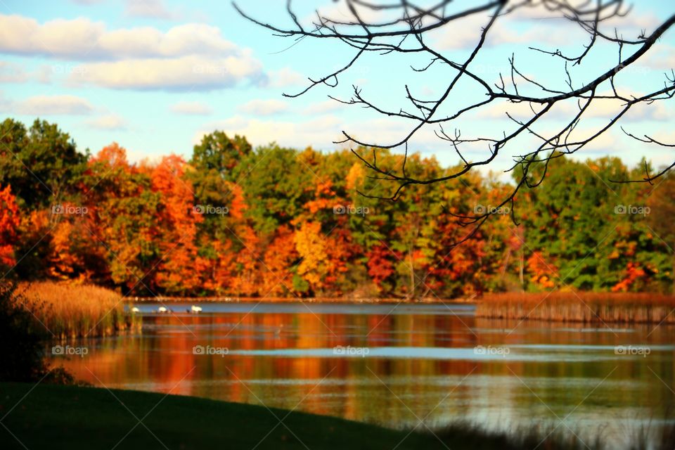 Autumn in Michigan