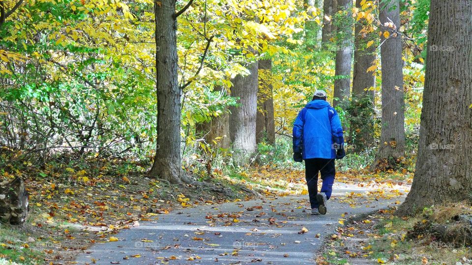 Walking in the woods. Man walking past me