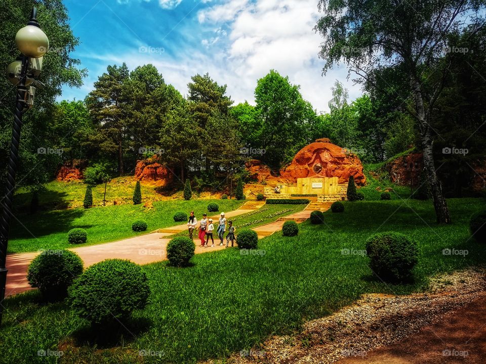 Day long view green plant flower beauty nature greens outdoor sky tree clouds moody