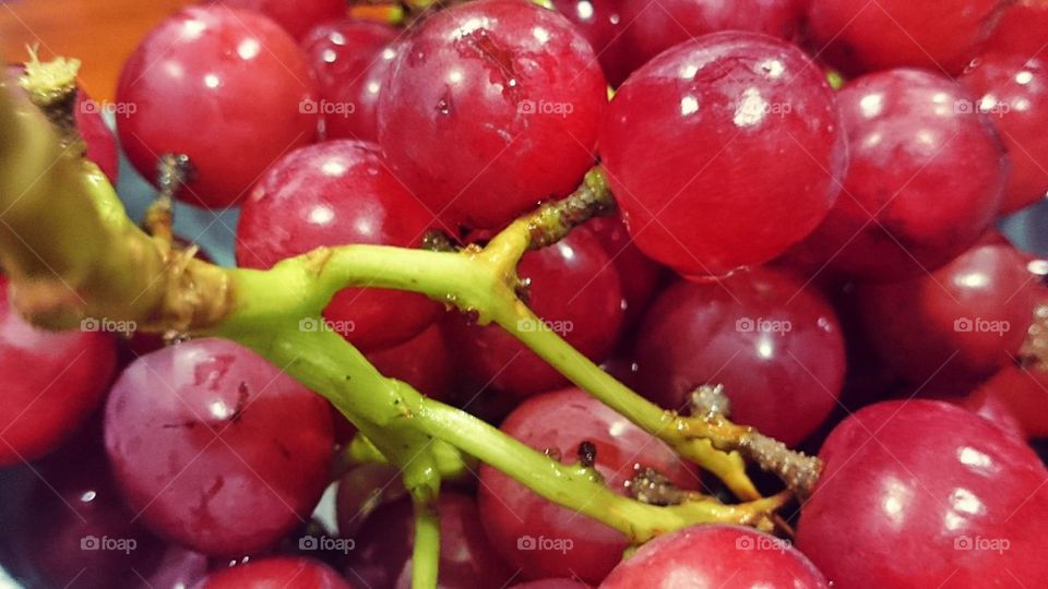 grape