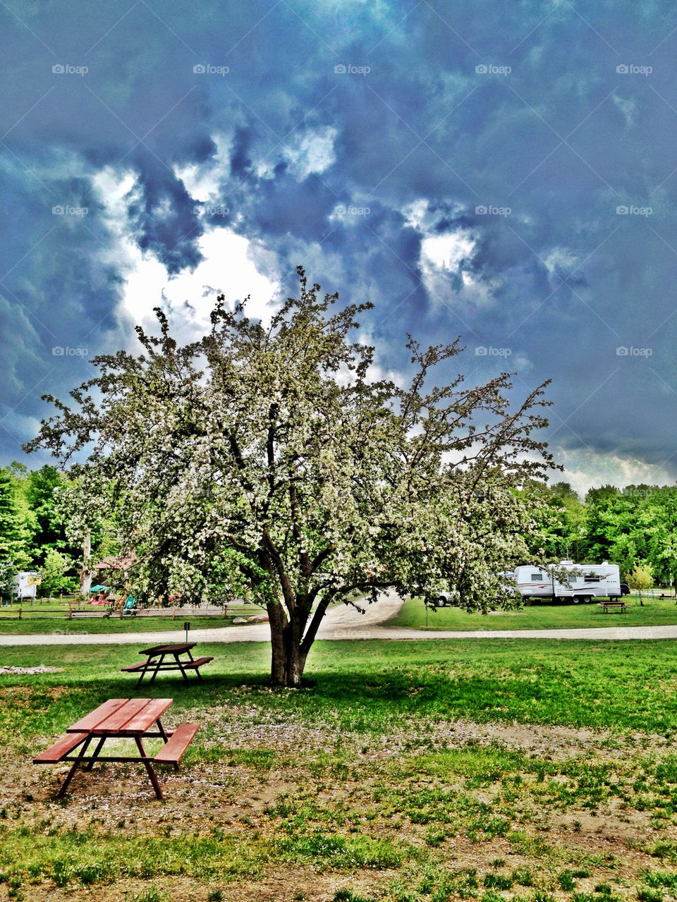 I LOVE SUMMER STORMS