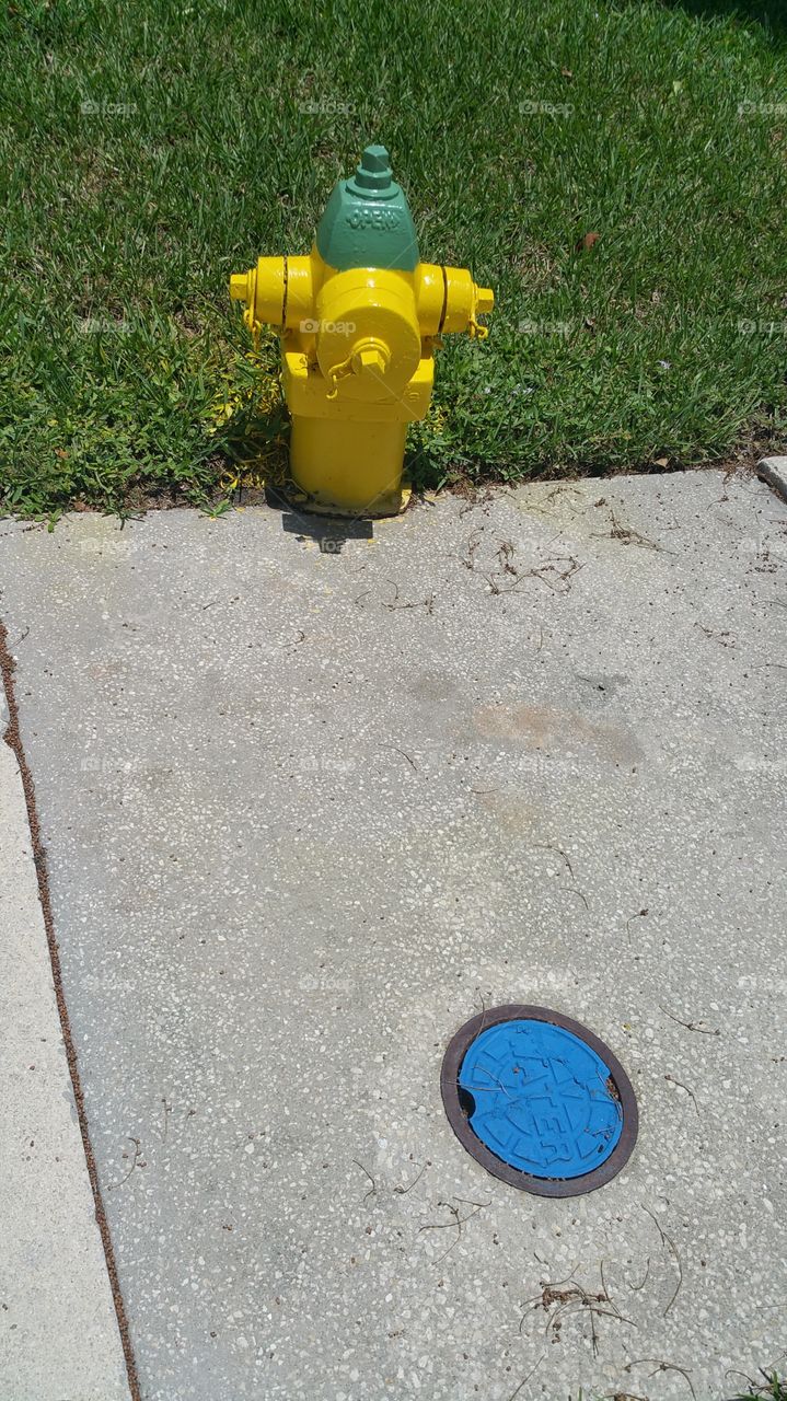 Fire Hydrant and Water Cover