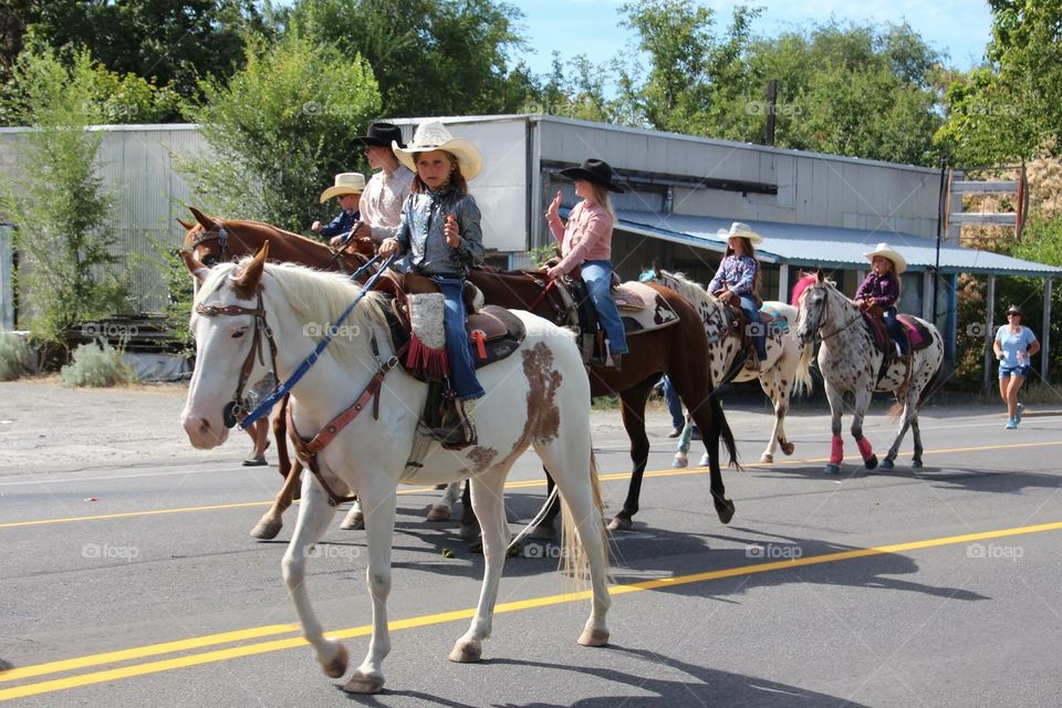 Horses Parade
