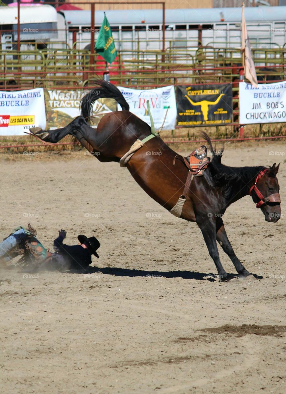 Bare Horseback Riding