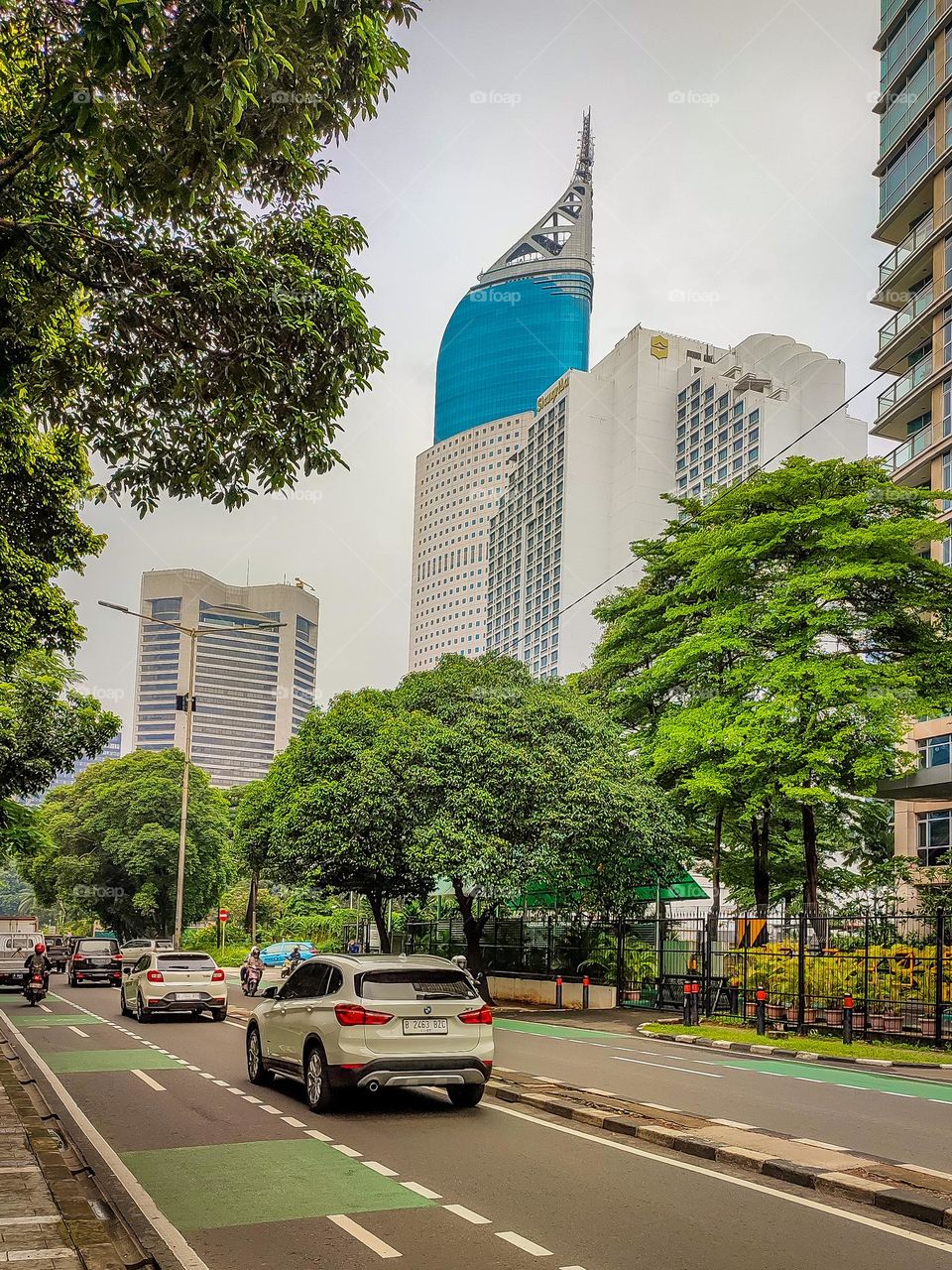 Roads, trees and buildings