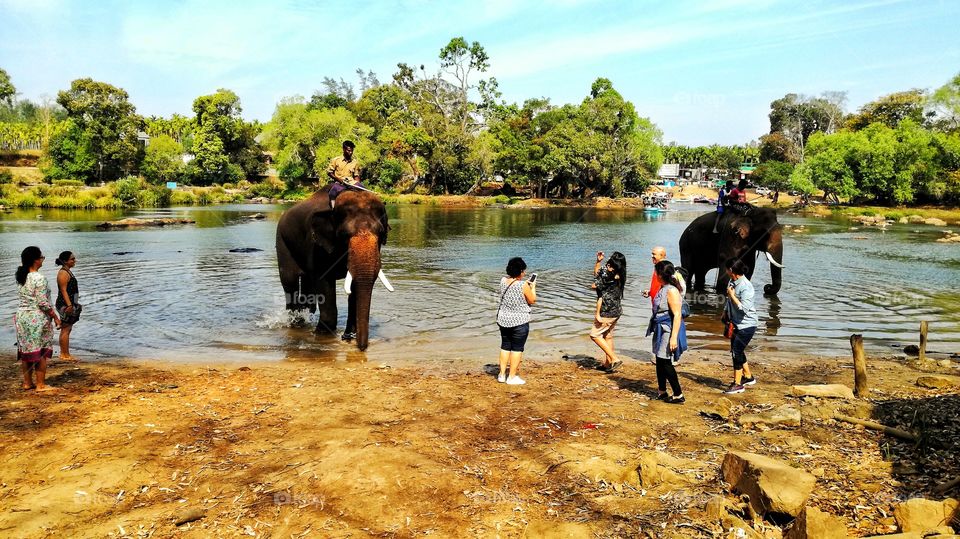 Kodagu, also known as Coorg, is a rural district in the southwest Indian state of Karnataka. In the area’s north, Madikeri Fort has 2 life-size elephant statues at its entrance, plus a Gothic-style church with a museum on its grounds. Nearby, the Hin
