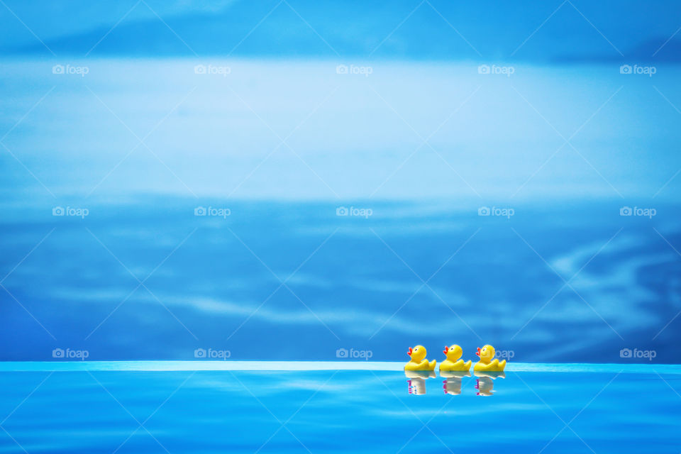 Three yellow ducks