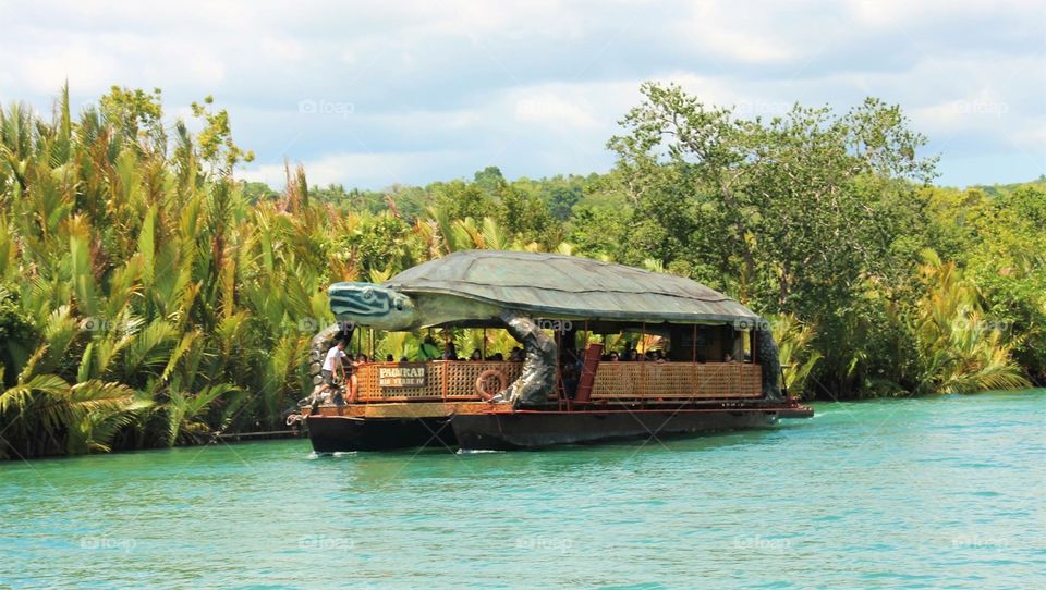 Water, Travel, Tree, No Person, Tropical