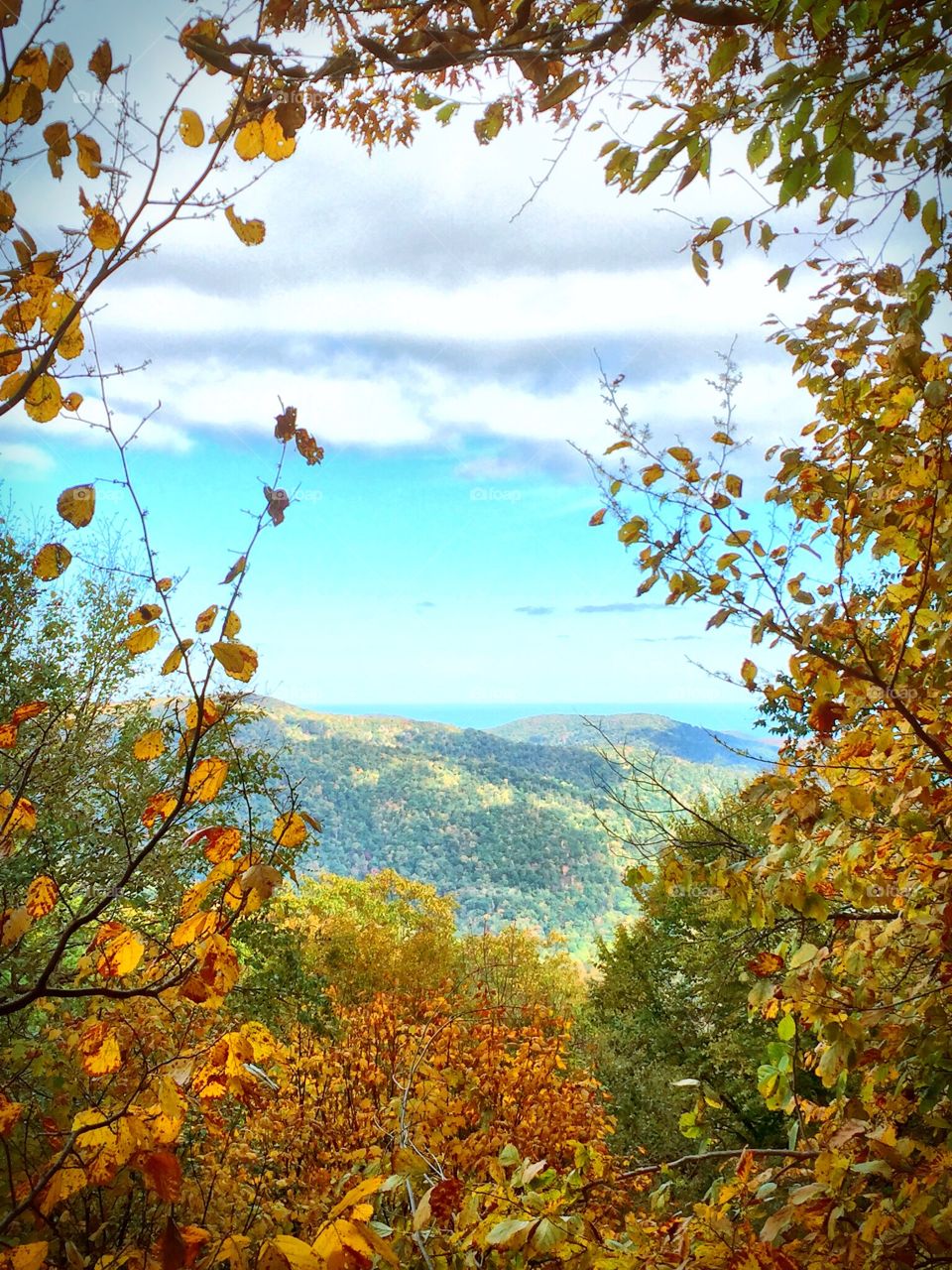 Scenic view of mountains and autumn trees