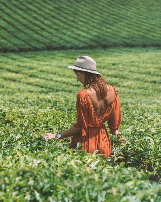 Agriculture