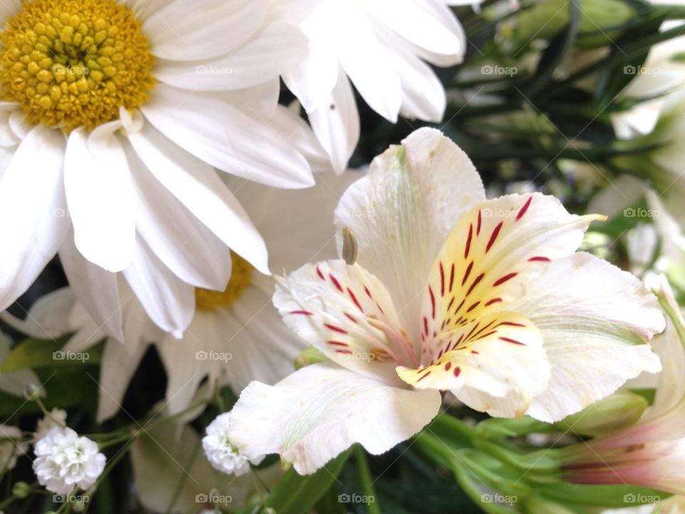 Getting some colors in life