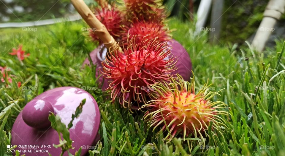 Helthy fruit Rambuttan.