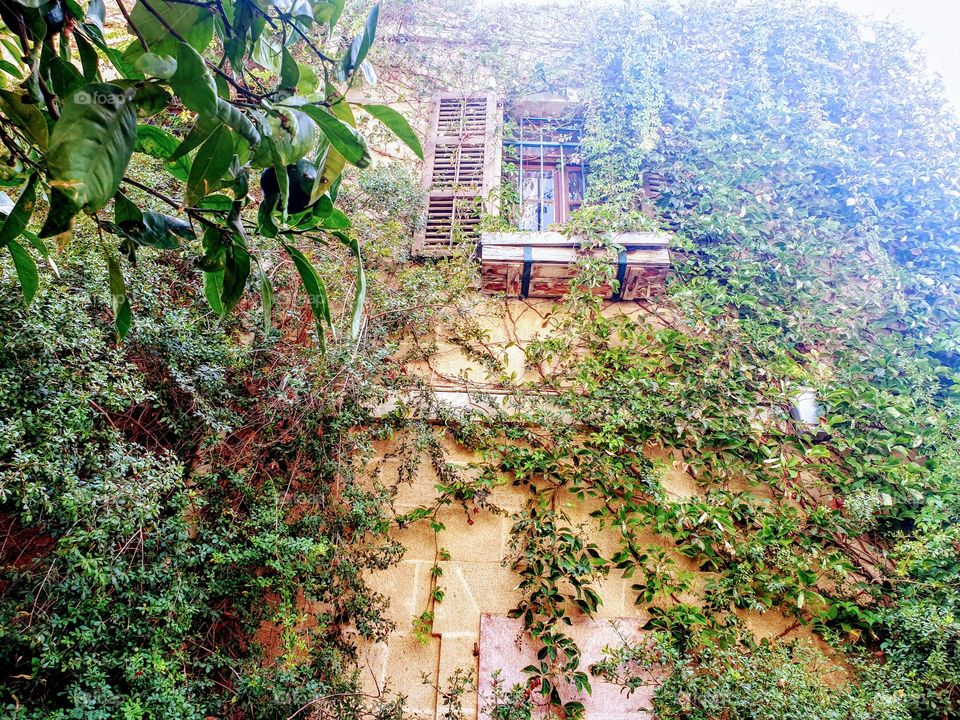 A good picture Starts with a Story. A story of a place full of emotions and memories.A camera may capture a great view, but it should live the story in order to deliver an outstanding reality.