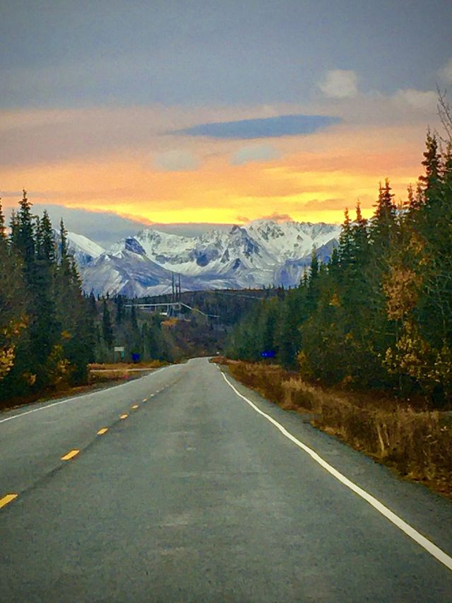 Denali National Park 