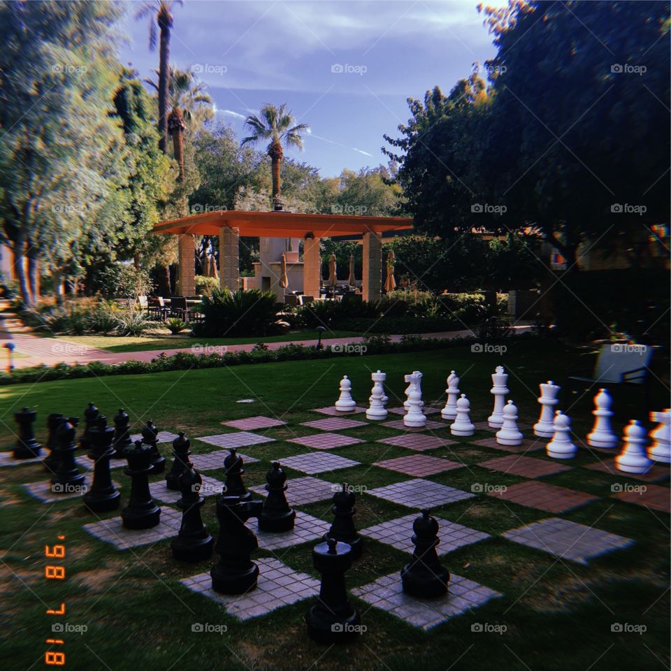  chess