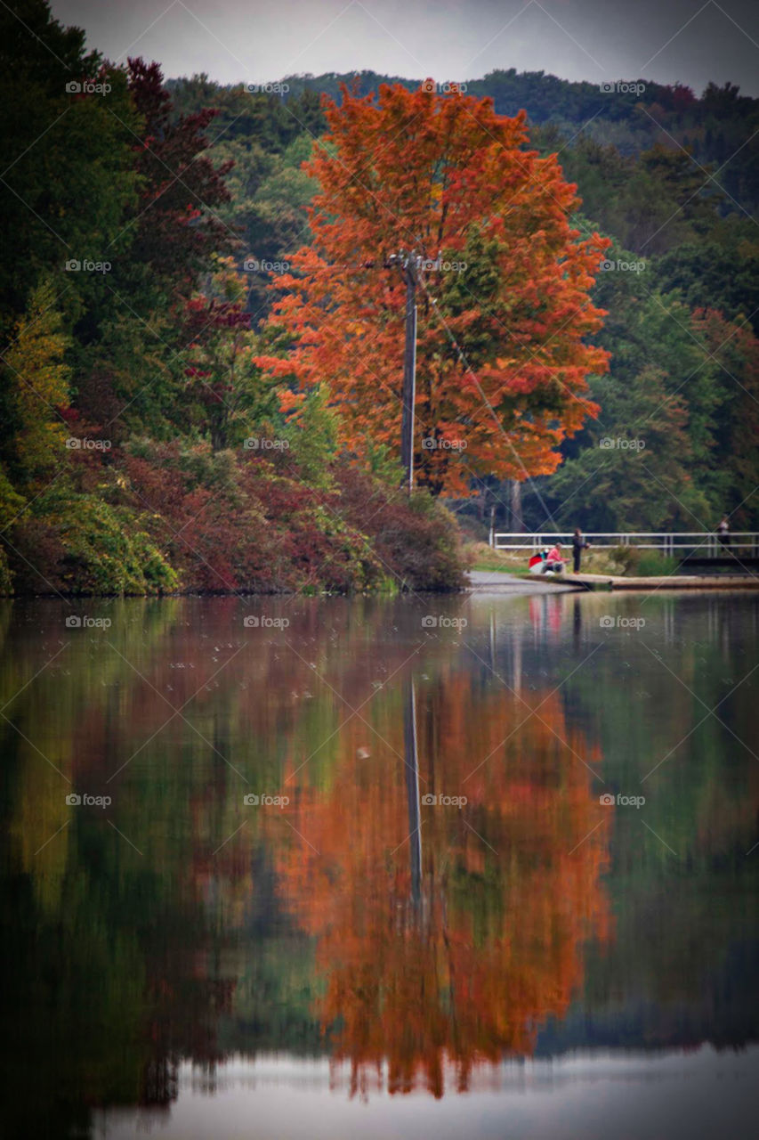 Fall tree reflection