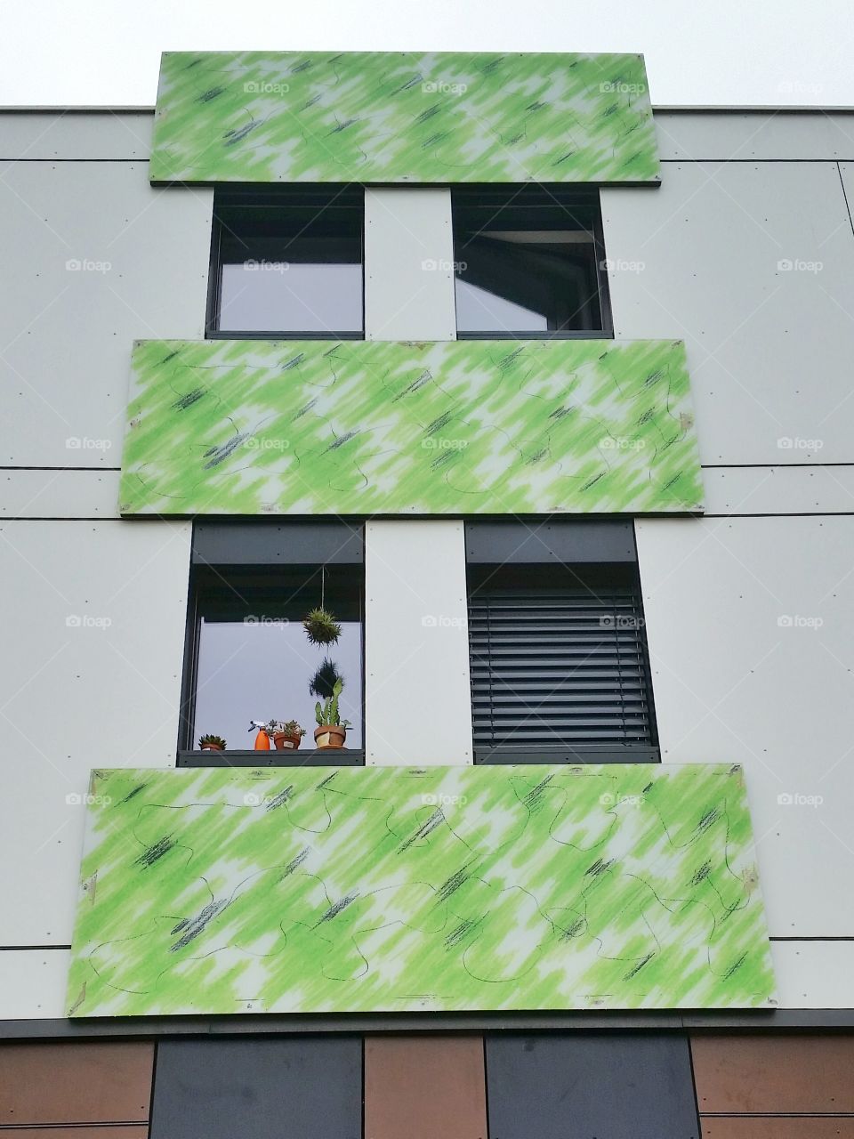 windows of a dormitory