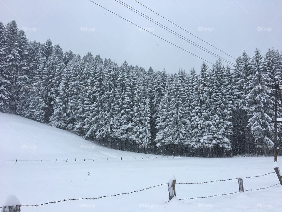 All snow as far as you can see.