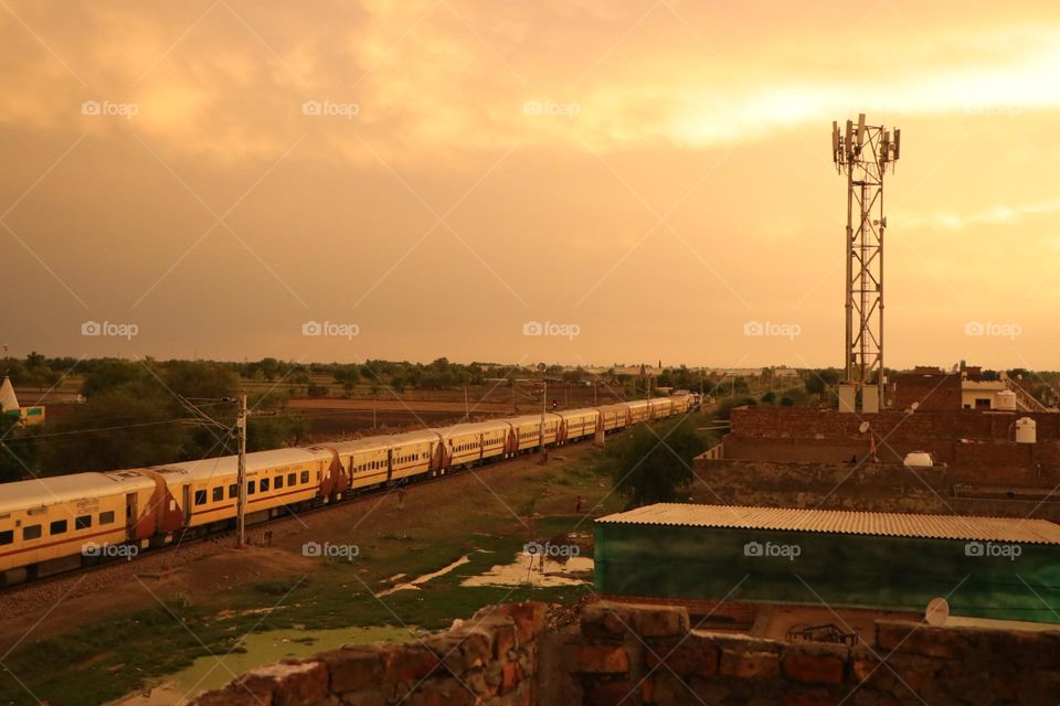 urban nature :water pond