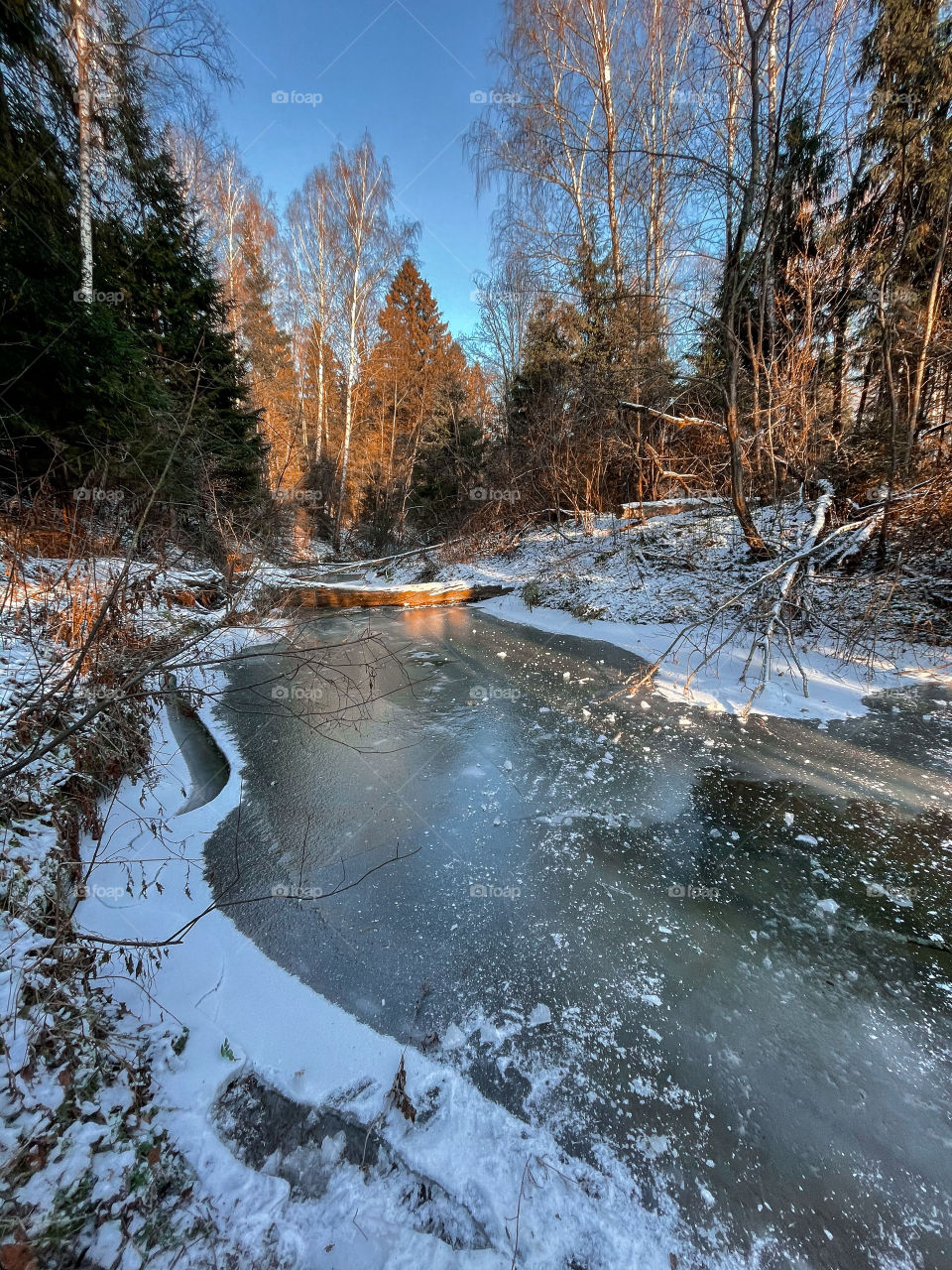 Winter landscape at sunny cold day