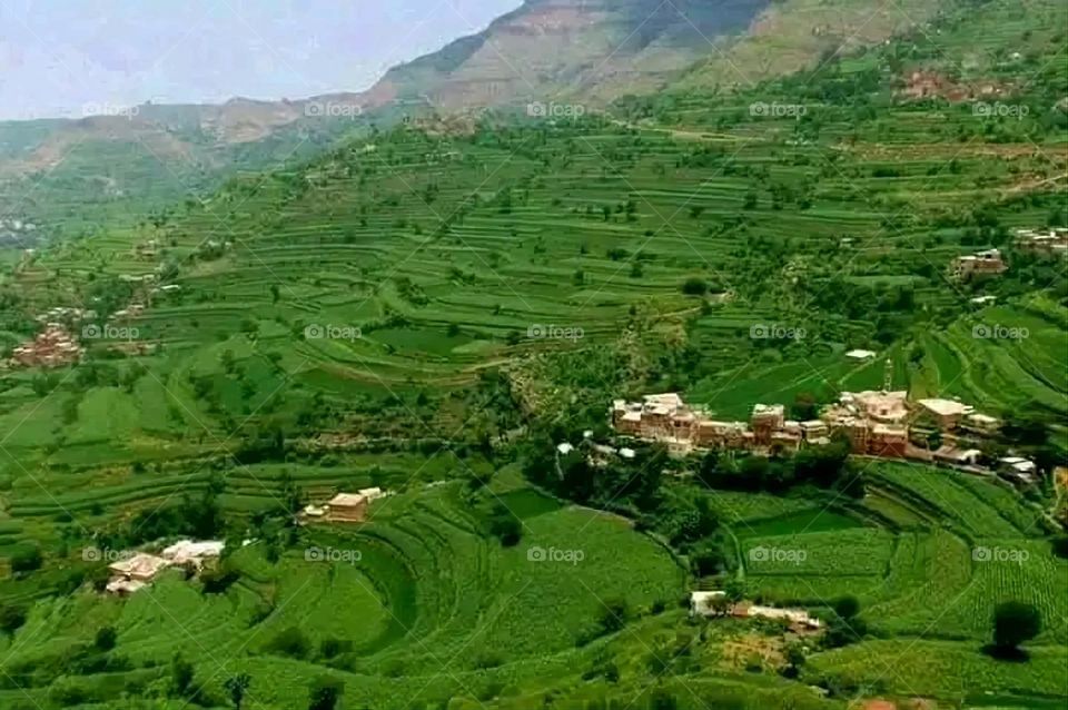 A stunning view of green mountains covered in fog in Yemen