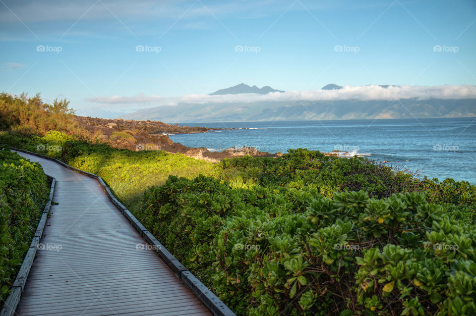 Maui pathway 