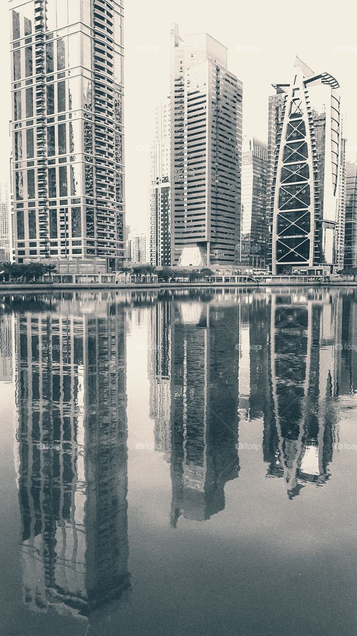 Dubai skyscrapers 