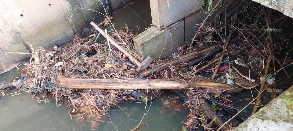 tree and leaf litter causing flooding