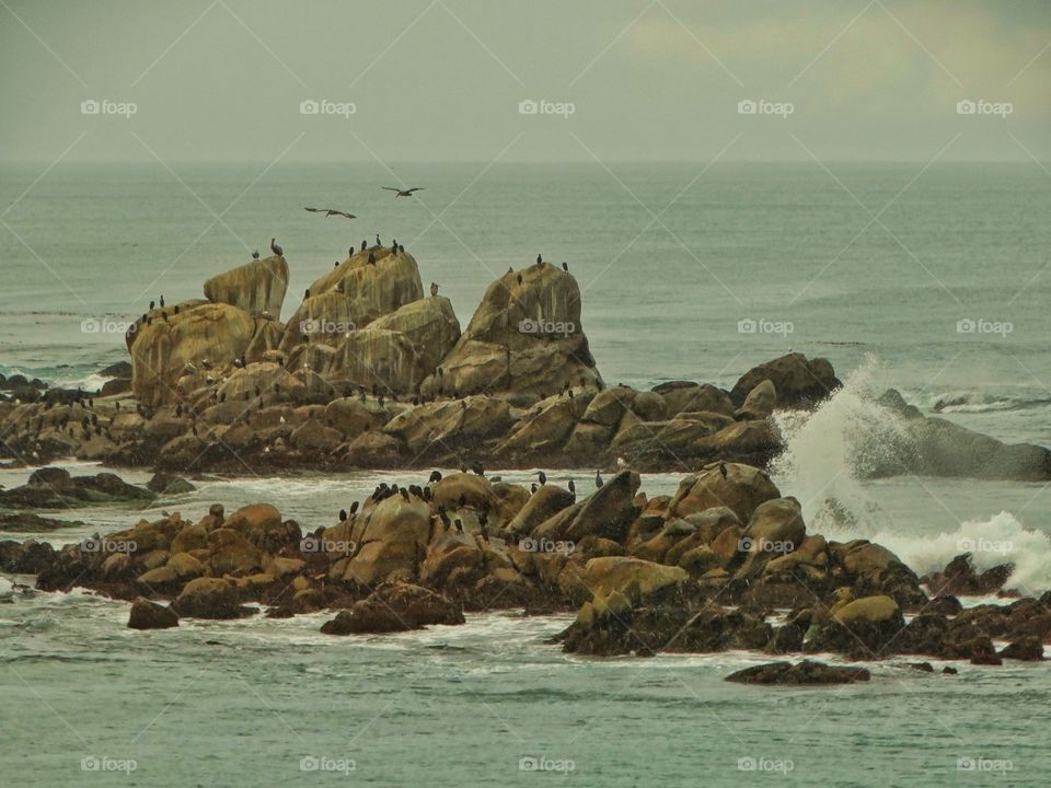 Rocky California Coast