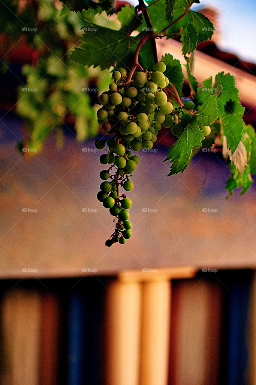 Exploring Camino Frances