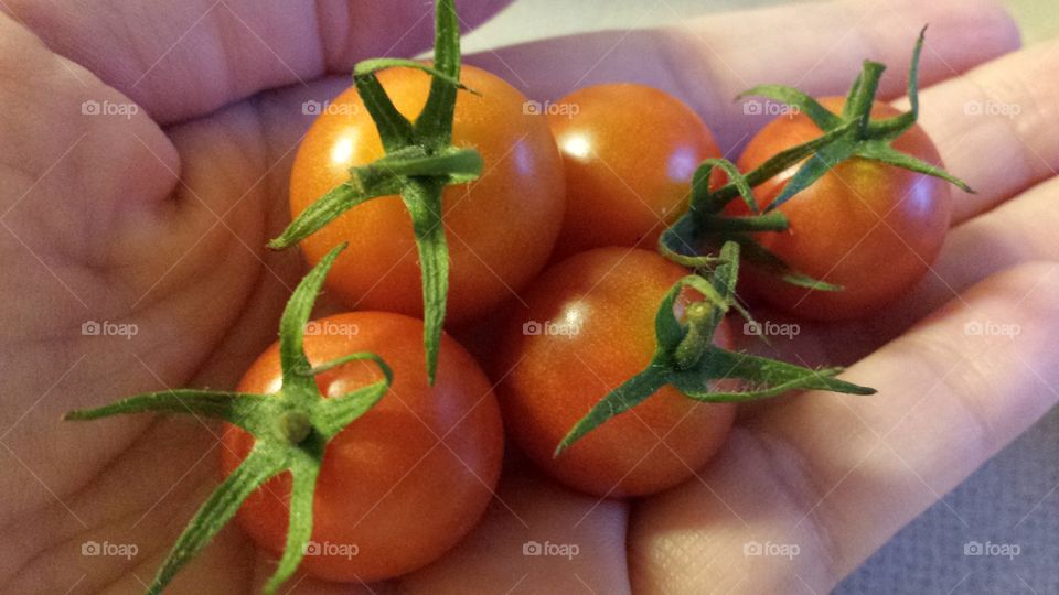 from my little garden