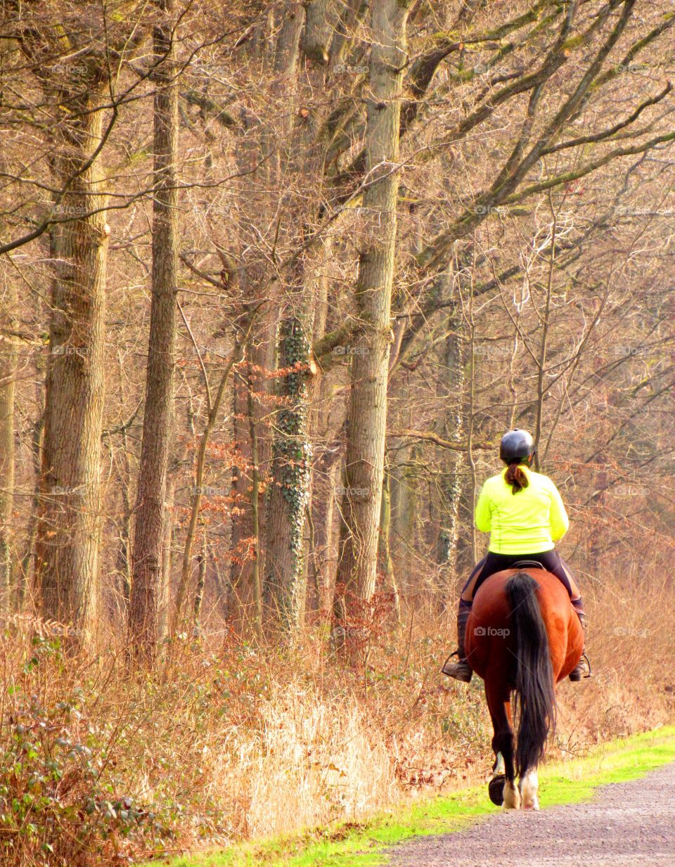 horseriding