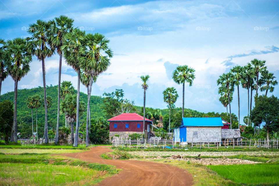 The beautiful landscape . The rural area in kampong Chhnang province 