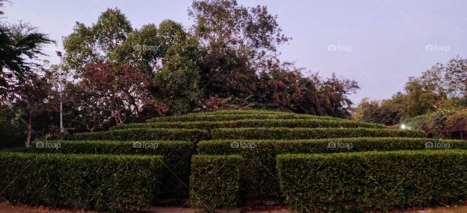 sneh botanical garden, surat