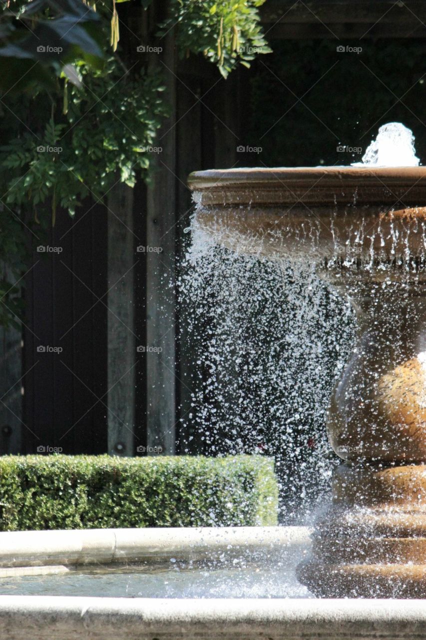 A gorgeous fountain splashes beautiful photogenic water droplets against a green backdrop in Napa valley. 