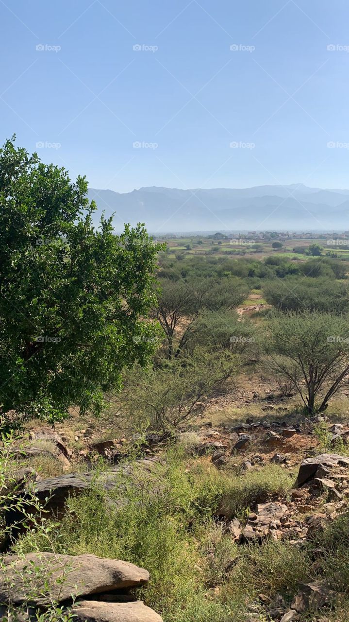 mmmhmm2001@gmail.com