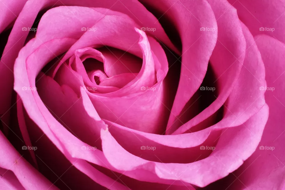 Blooming