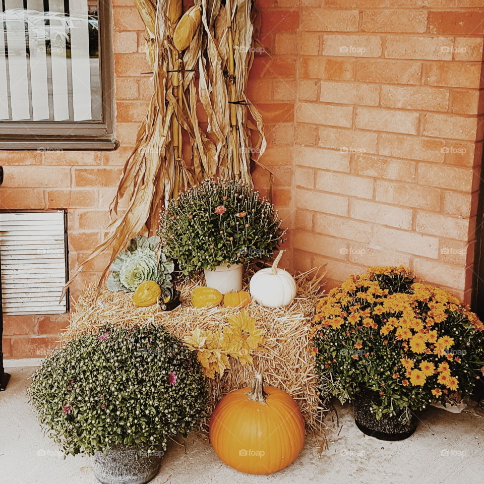 Halloween/fall arrangement! I love the fall! Especially the pumpkins and for sure sweater weather!