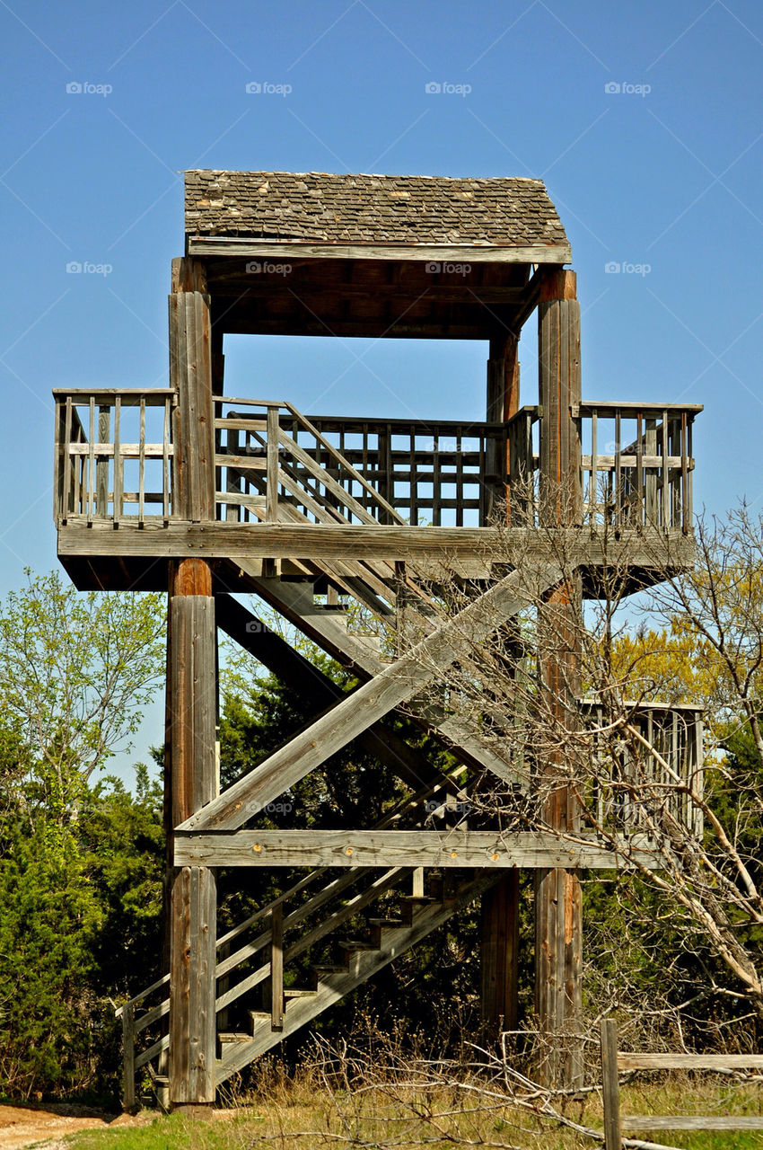 trees lookout by refocusphoto